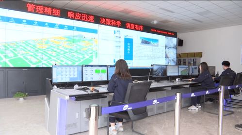 滨海区 以信息技术开发为引擎，筑牢企业安全管理新防线