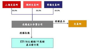 深度融合 港、沪、深三地共筑新篇章 – 实证信息技术合资公司全解析